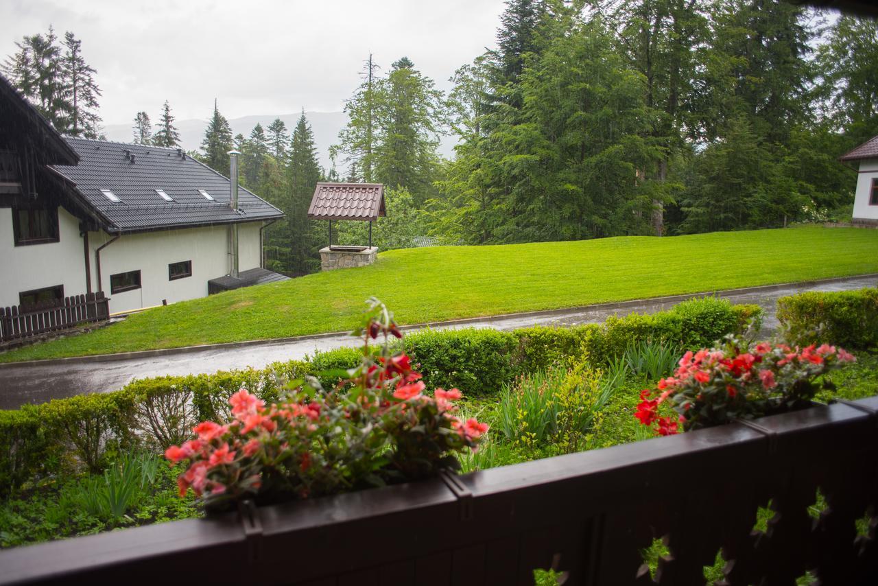 Cabana Schiori Sinaia Ngoại thất bức ảnh